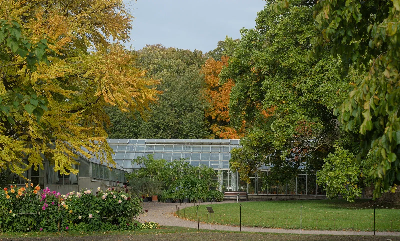 Botaniska trädgårdens