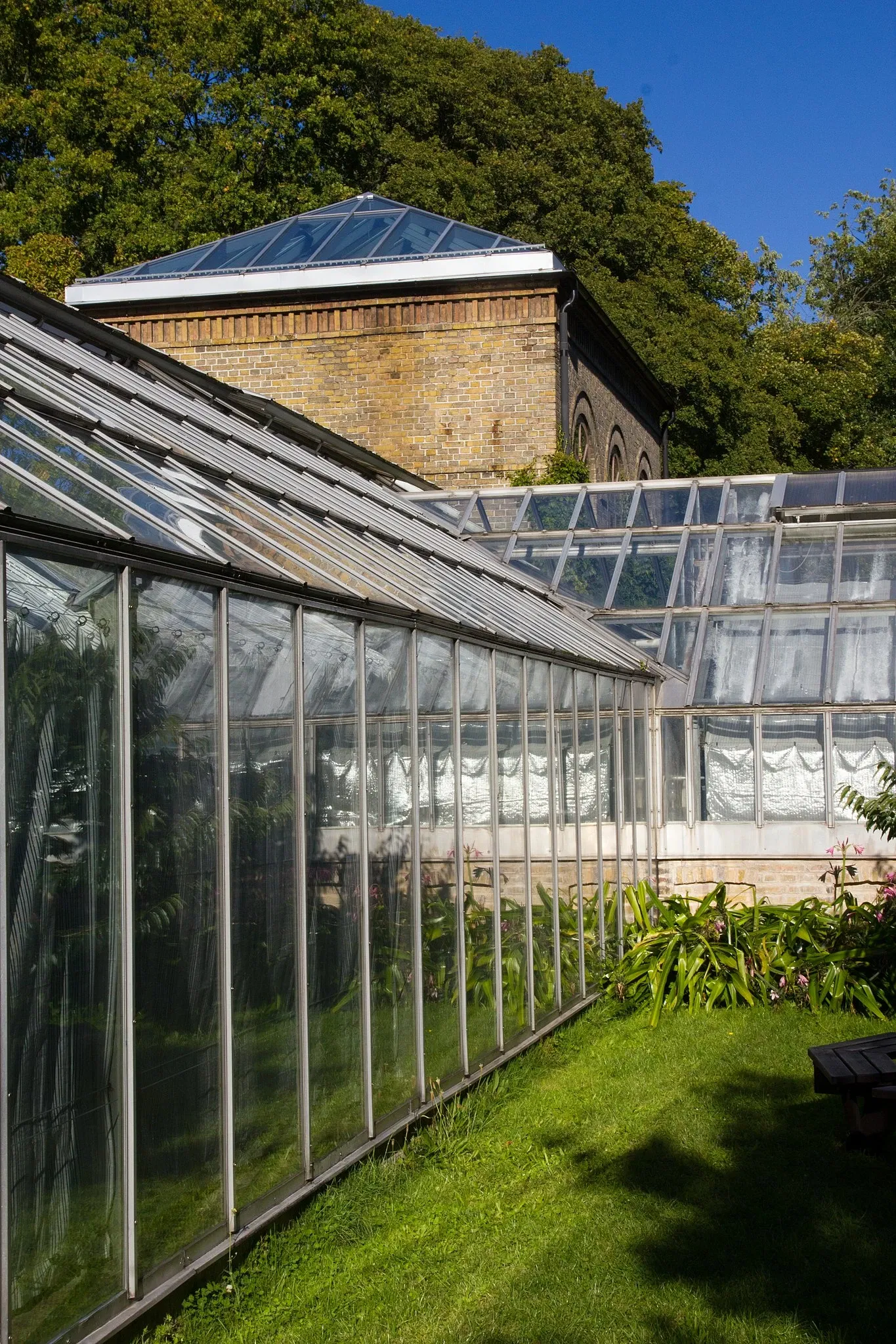 Botaniska trädgårdens