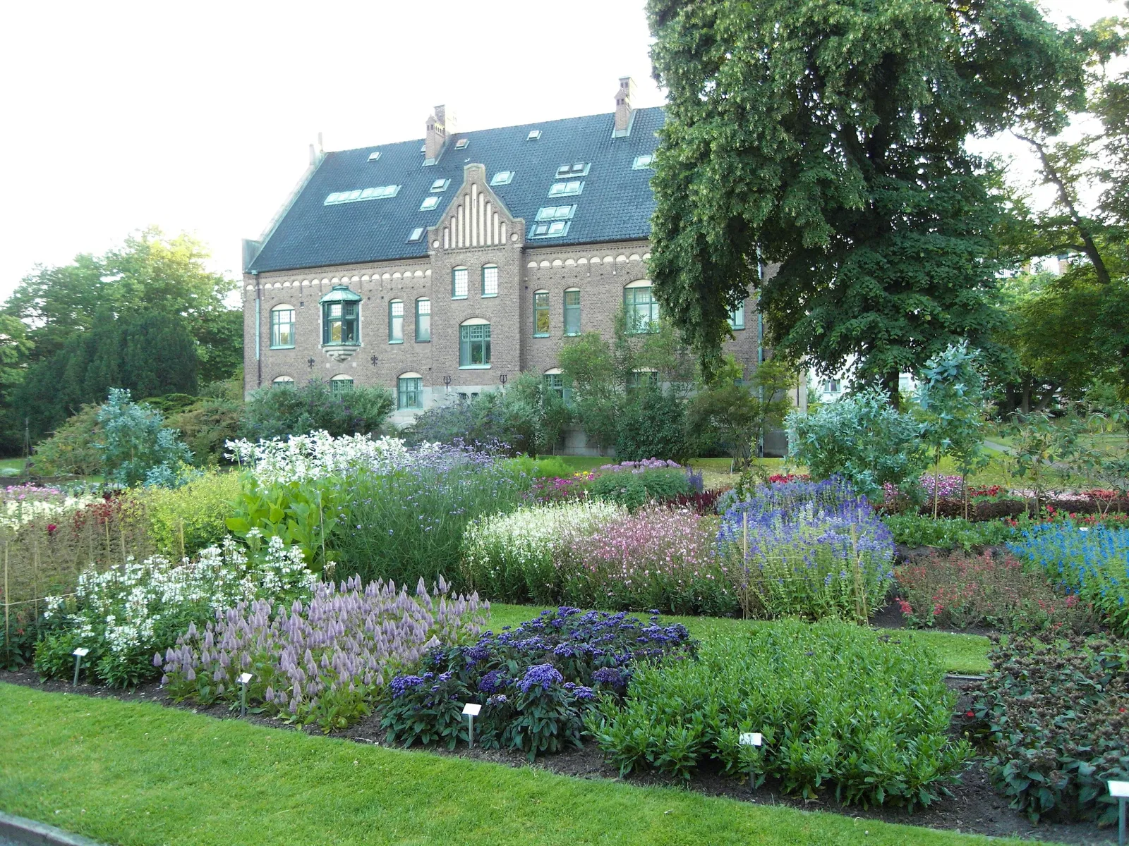 Botaniska trädgårdens