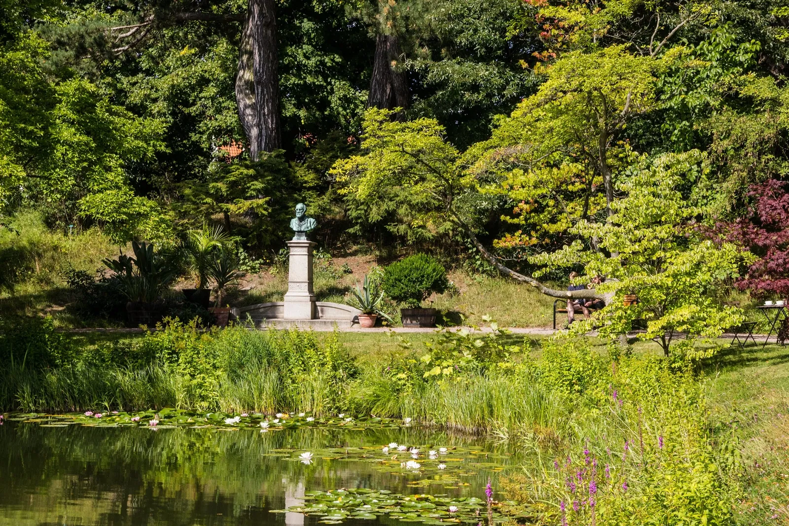 Botaniska trädgårdens