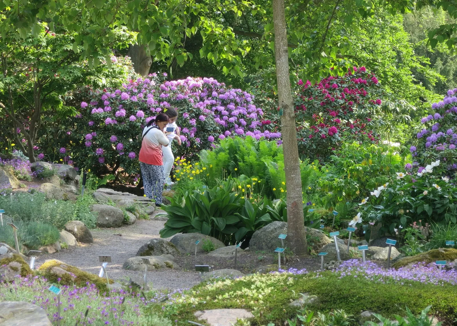 Botaniska trädgårdens
