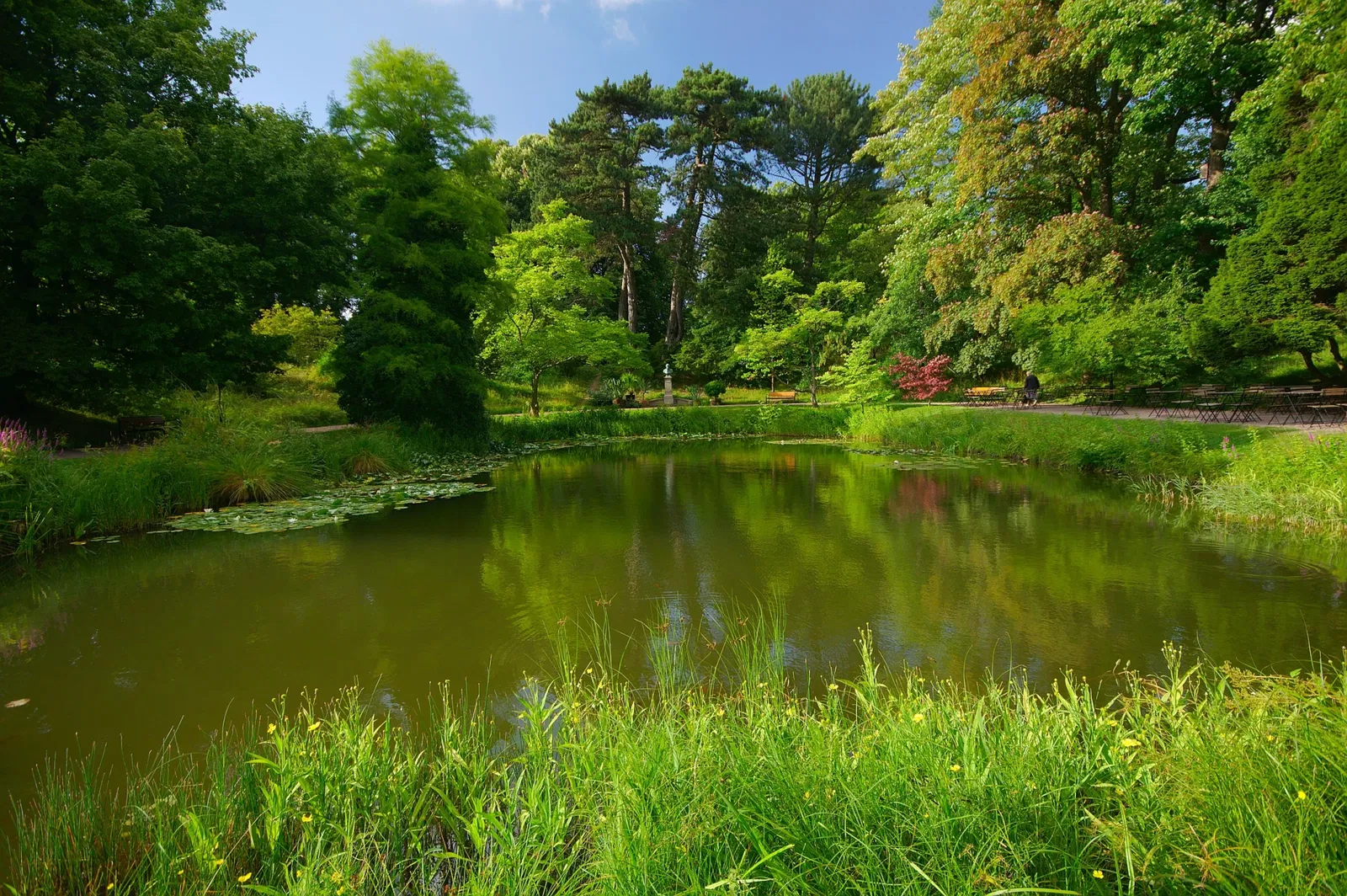 Botaniska trädgårdens