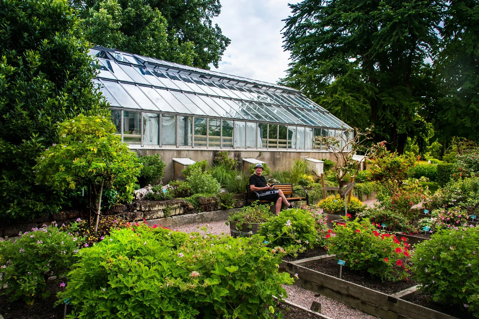 Botaniska trädgårdens