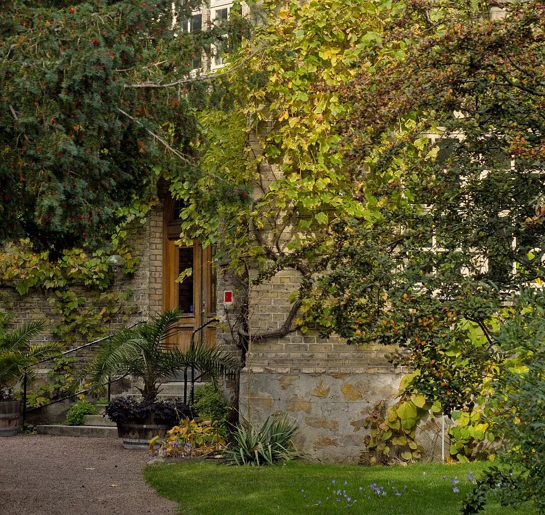 Botaniska trädgårdens