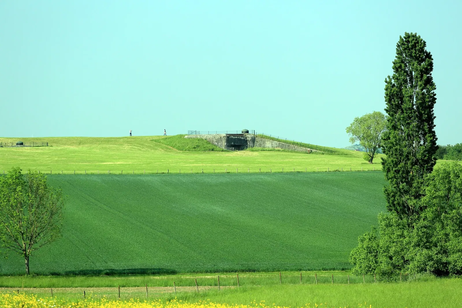 Maginot Line Fort Schoenenbourg
