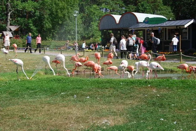 Parken Zoo