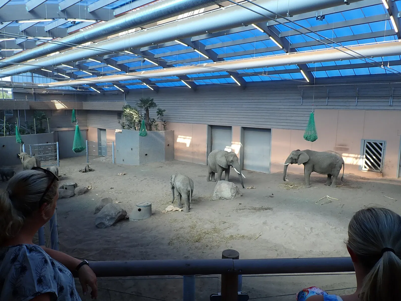 Borås ZOO