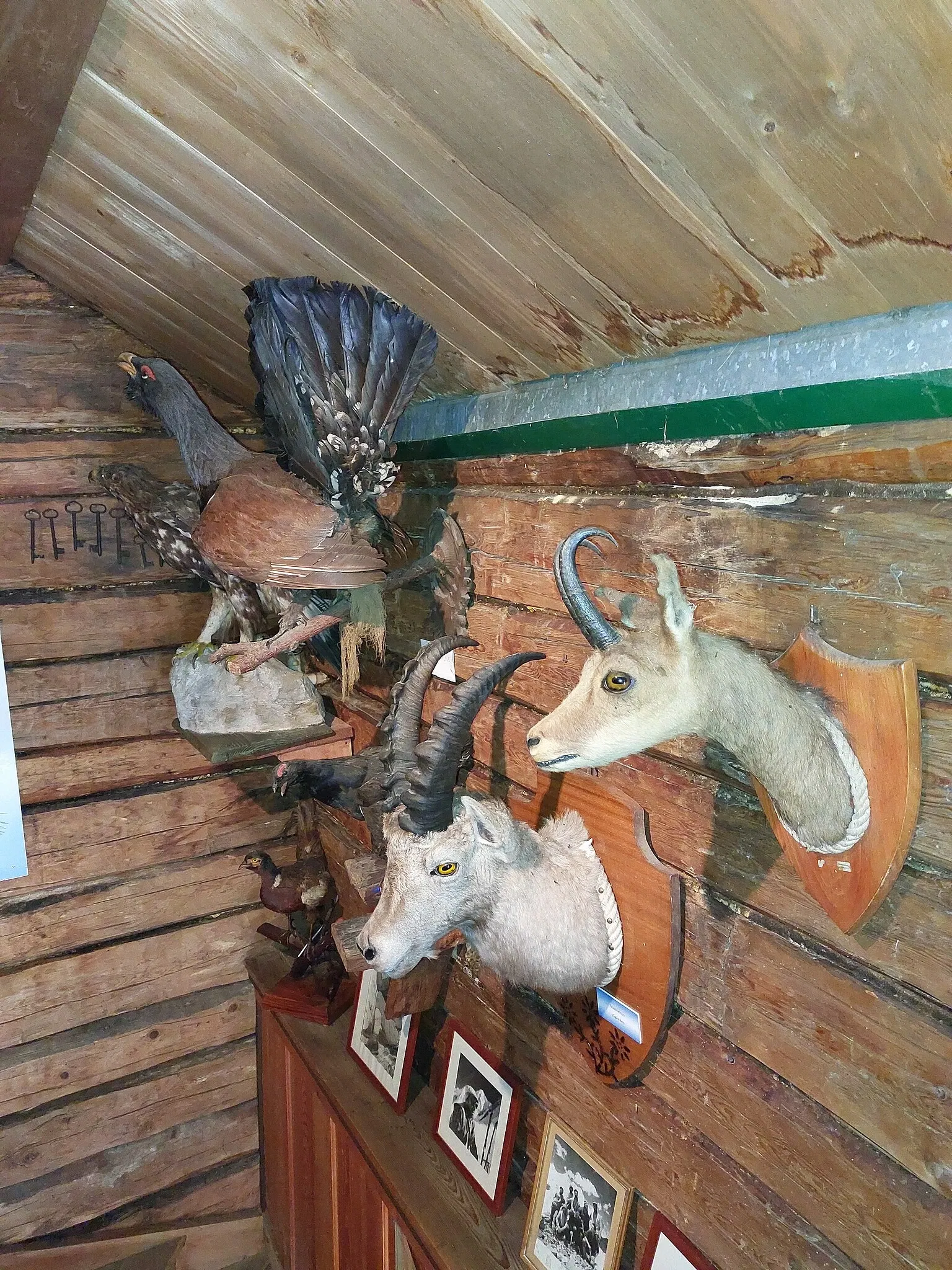 Museo della Montagna e del Contrabbando