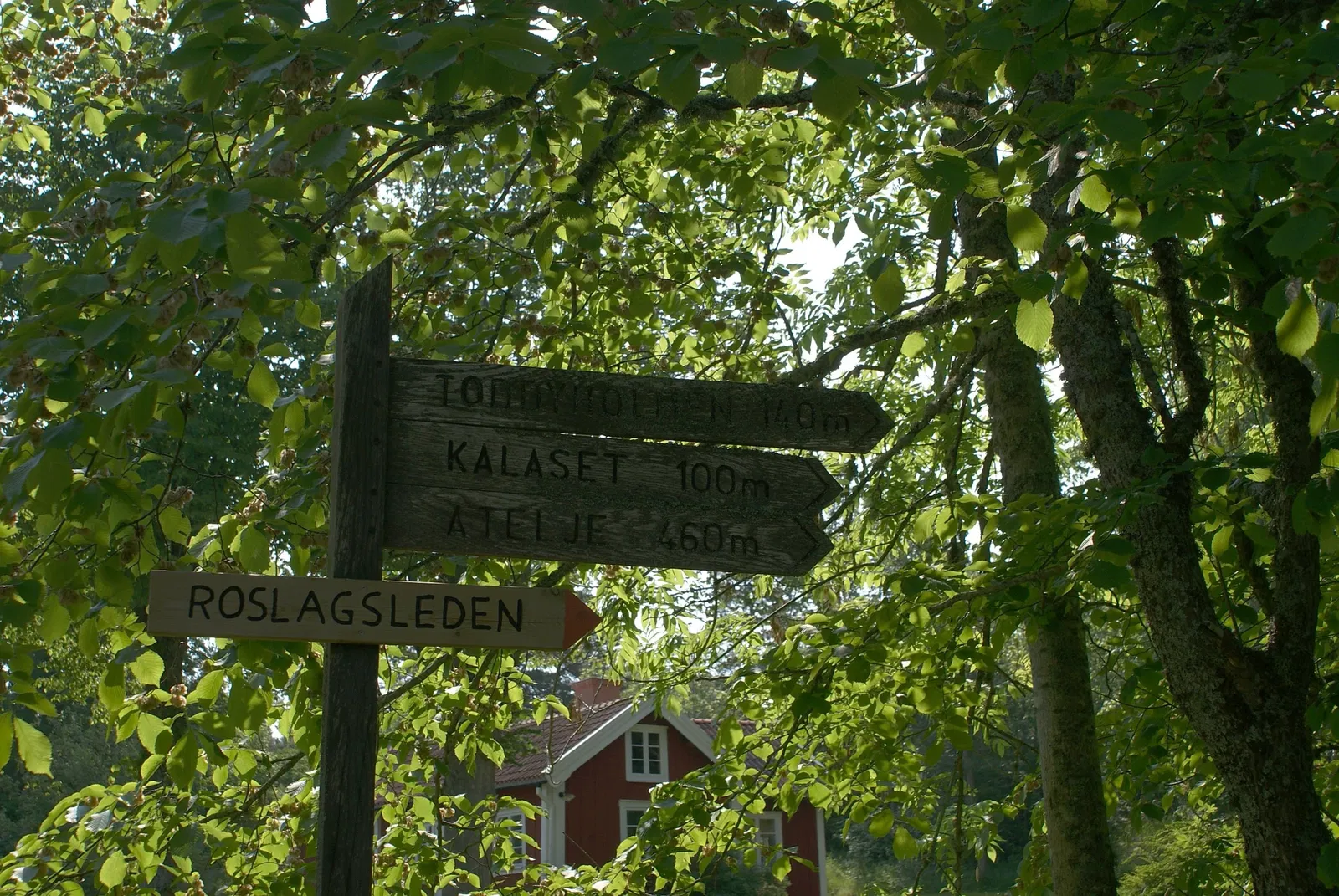 Albert Engströms Museum