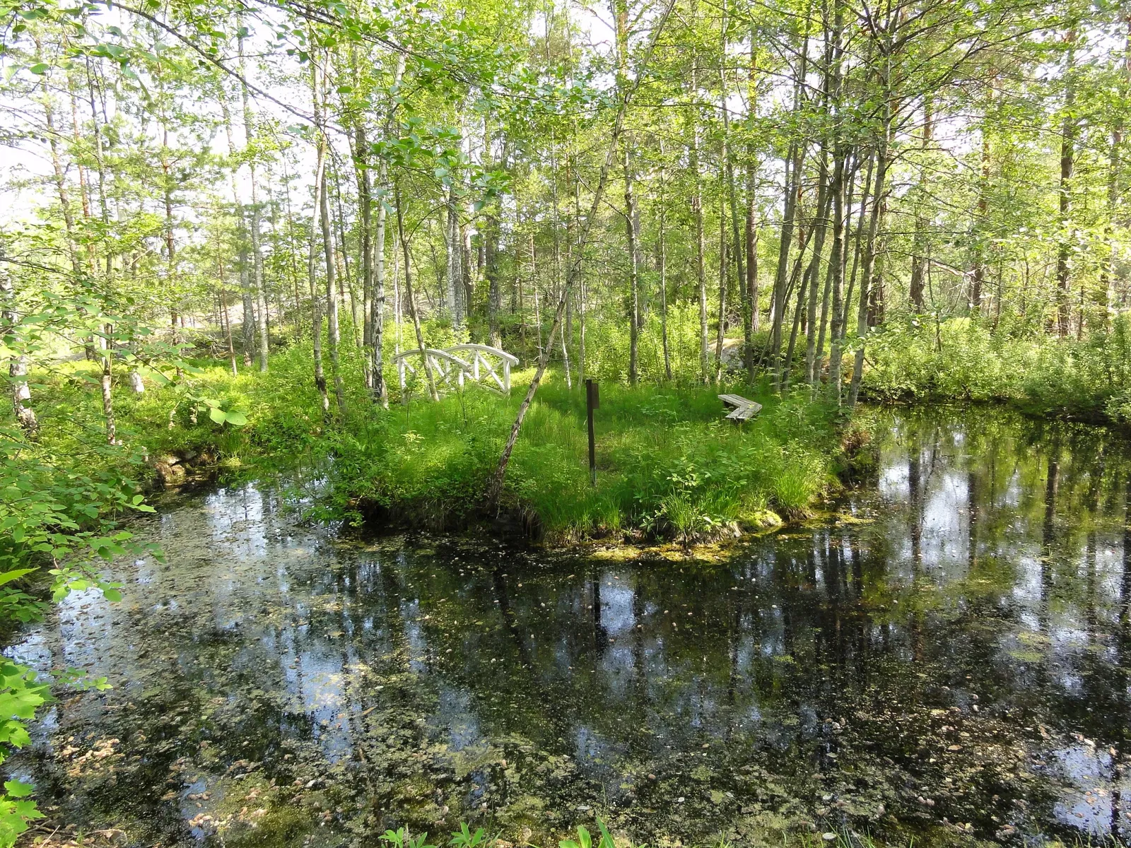 Albert Engströms Museum