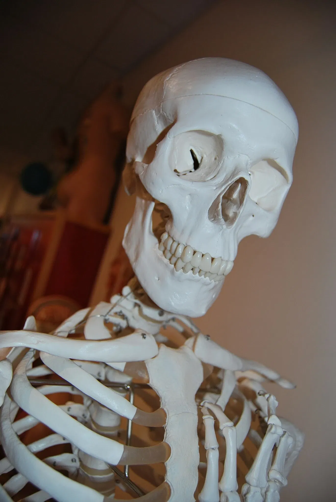 Dalénium Science Center