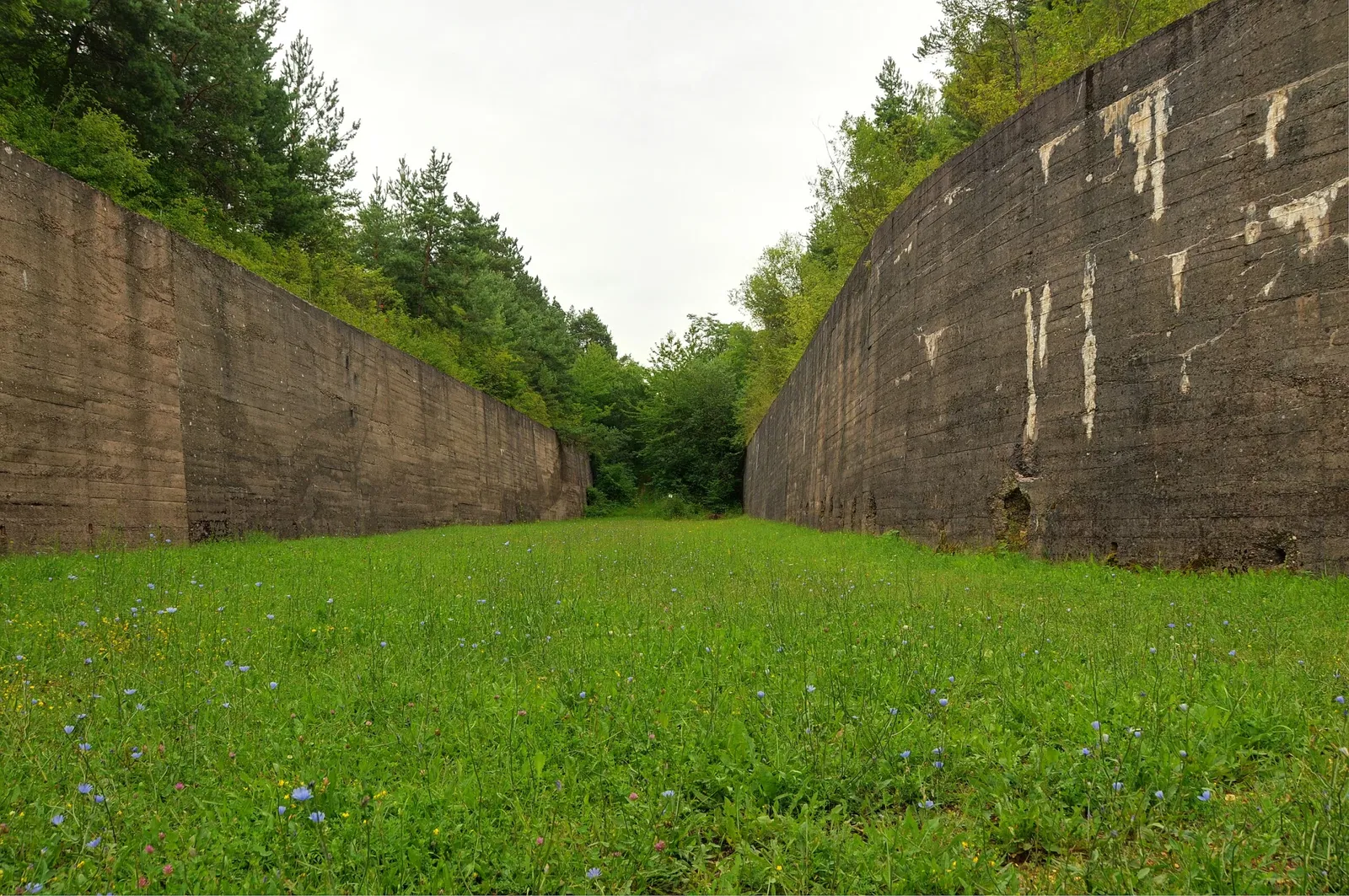 Fort de Mutzig
