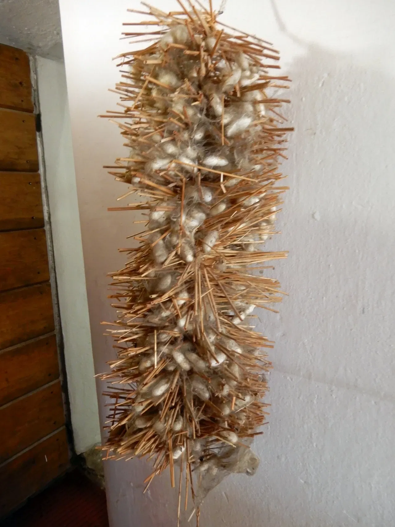 Civico Museo Setificio Monti