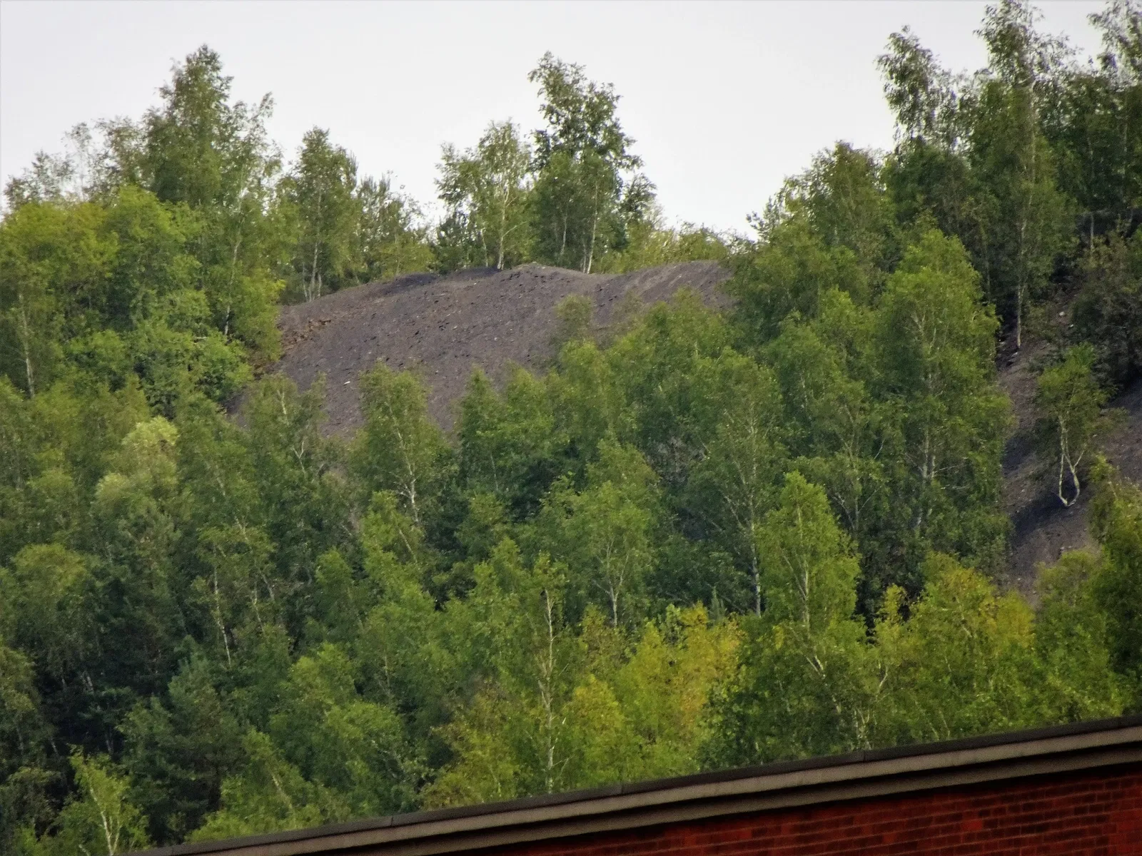 Musée du Carreau Wendel