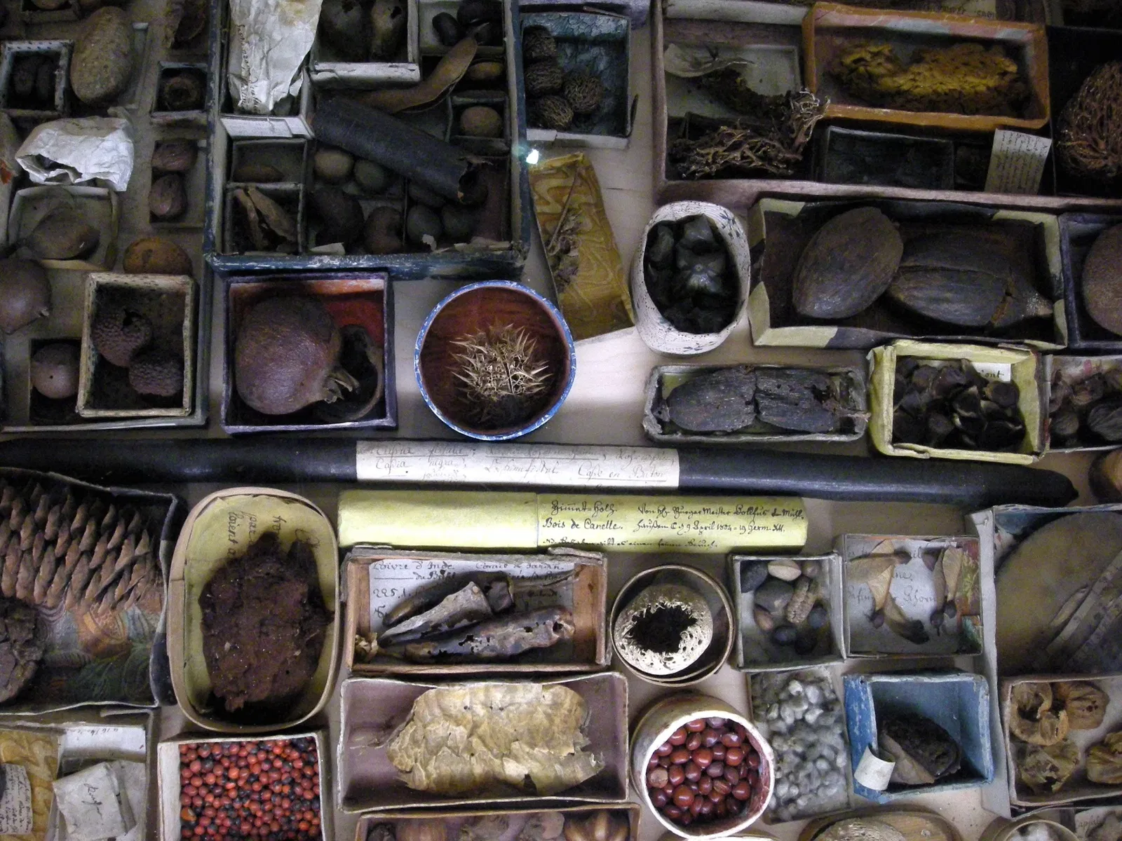 Musée Jean-Frédéric Oberlin