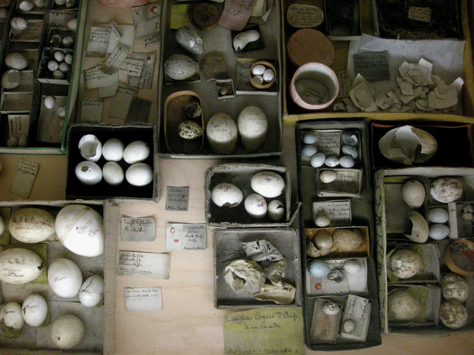 Jean-Frédéric Oberlin Museum