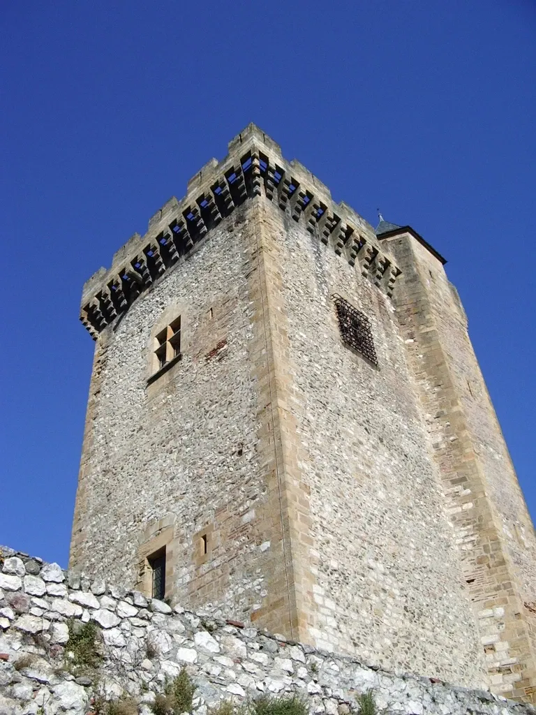 Château de Foix