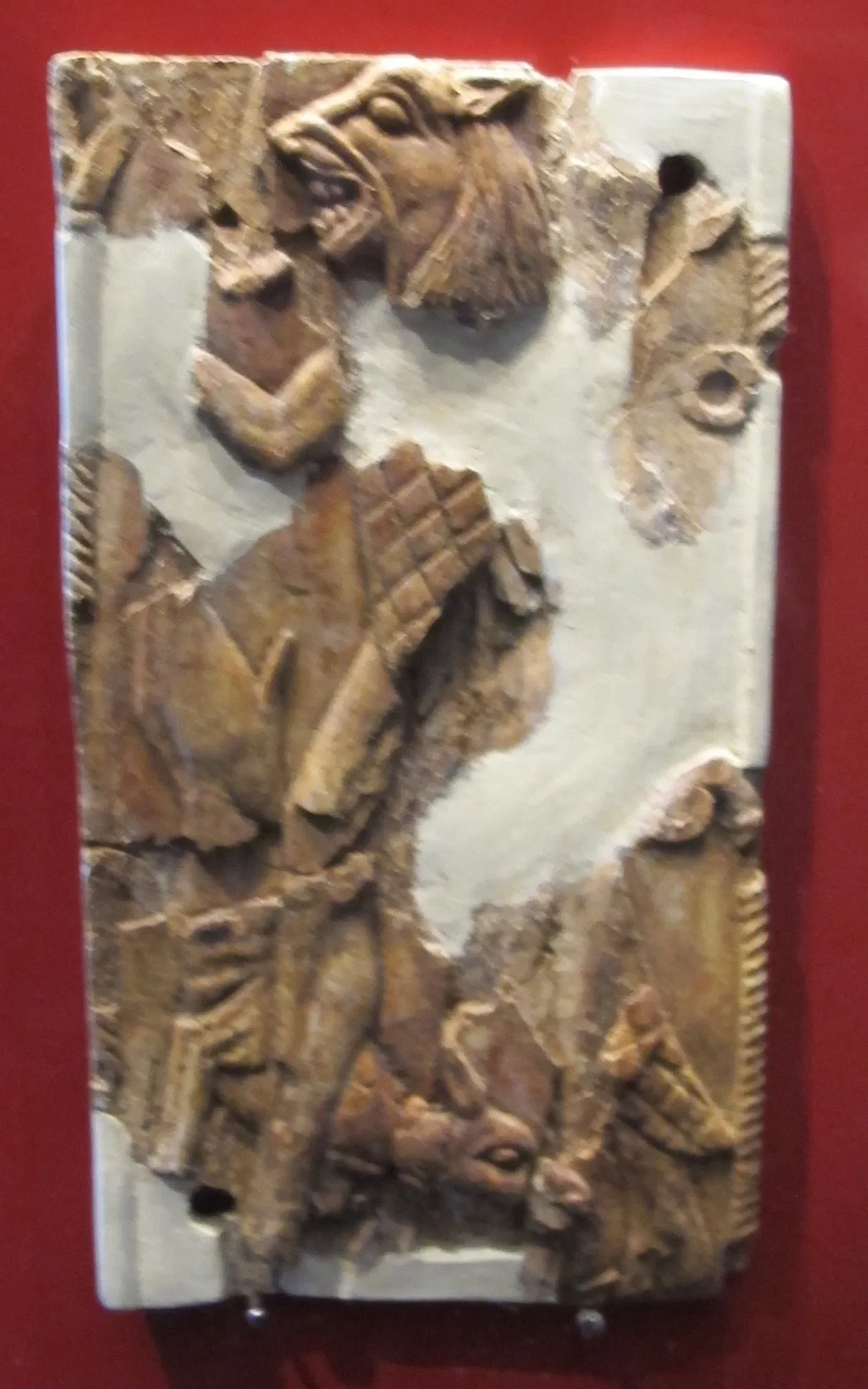 Musée archéologique d'Artimino