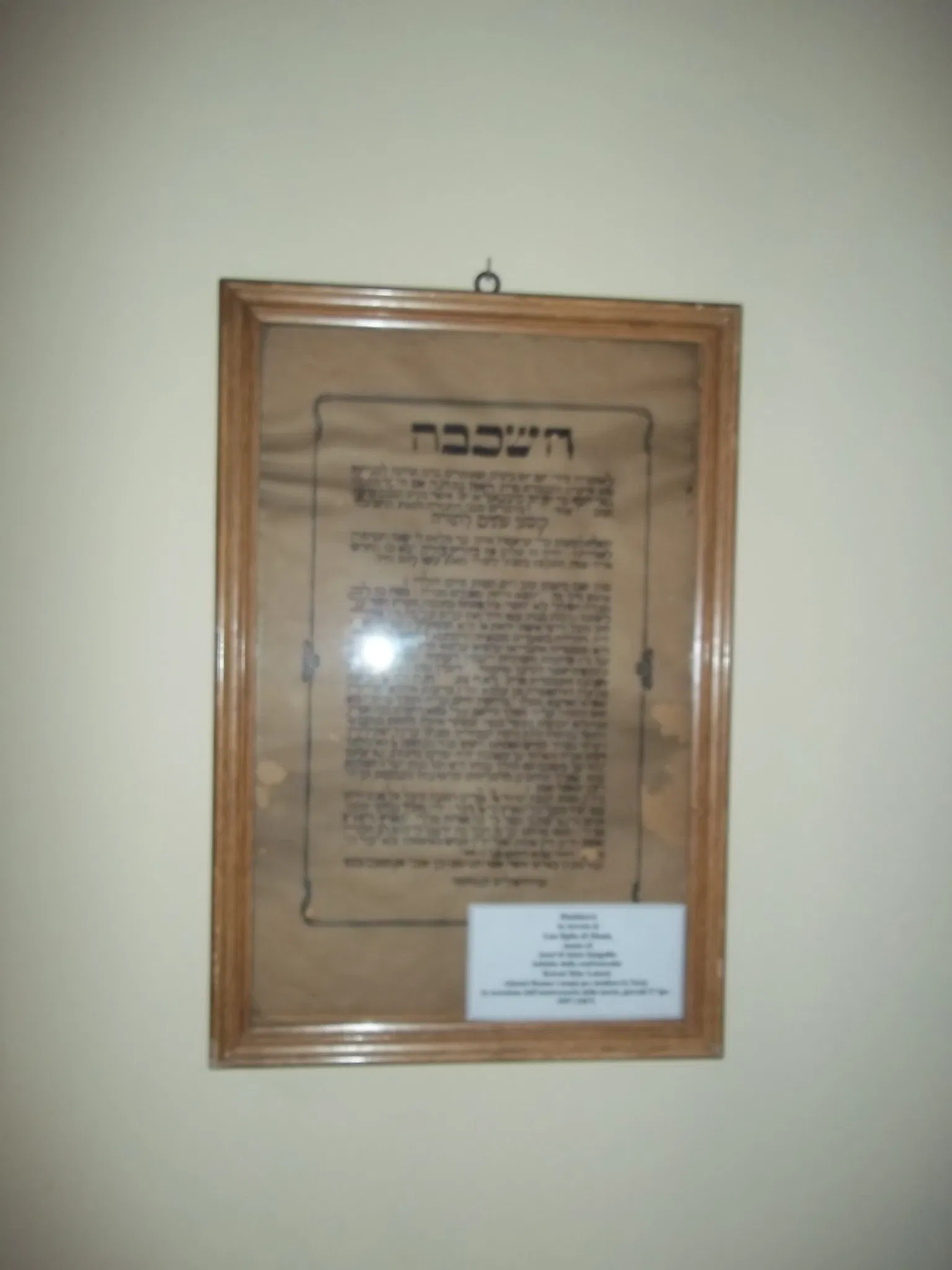 Museo Ebraico Fausto Levi