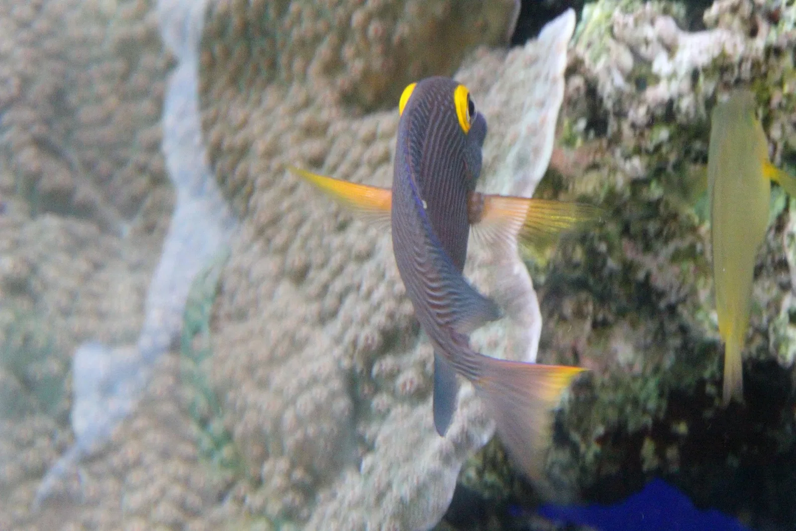 Acquario di Cala Gonone