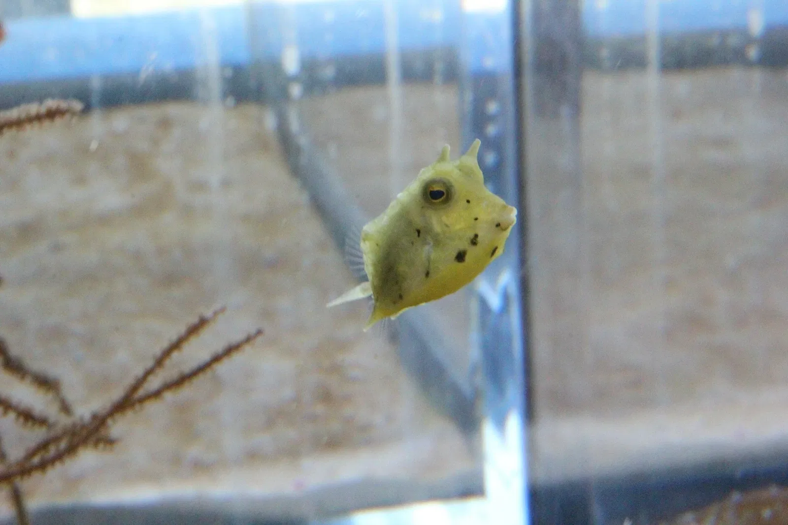 Acquario di Cala Gonone