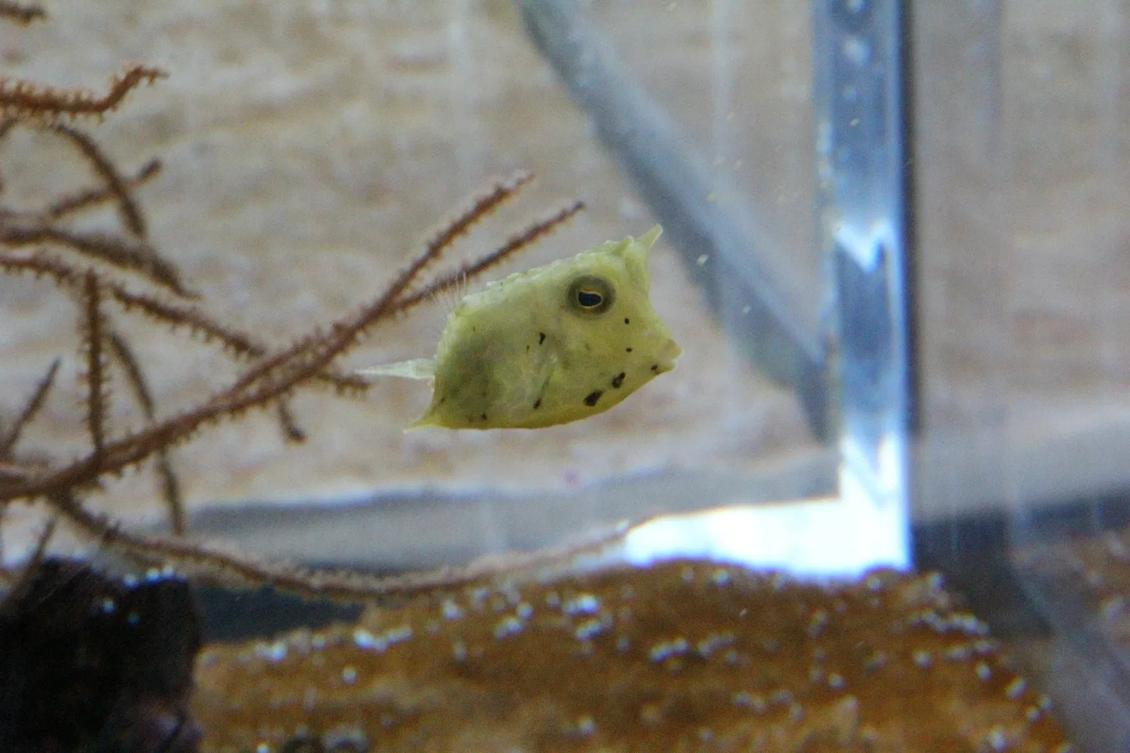 Acquario di Cala Gonone
