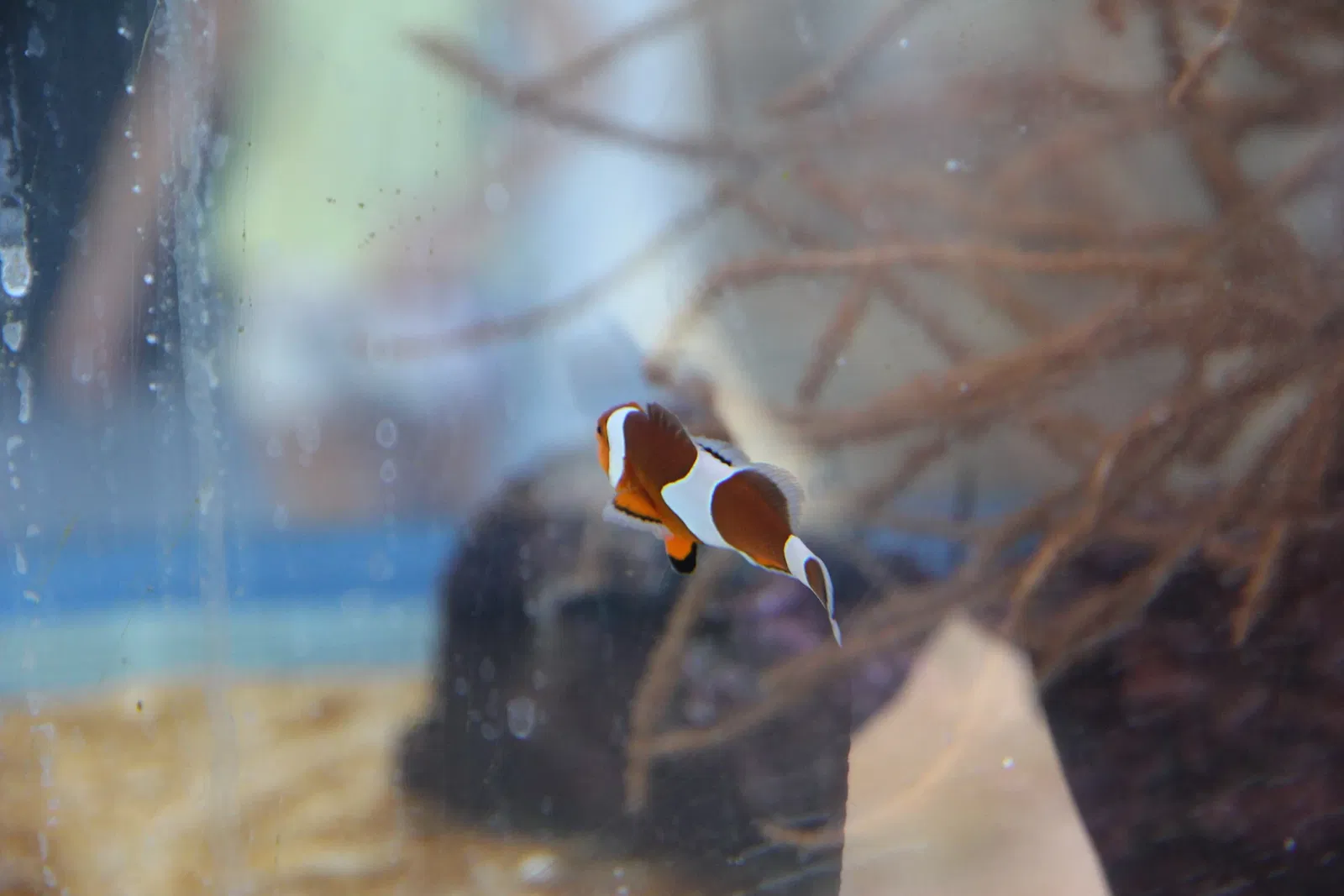 Acquario di Cala Gonone