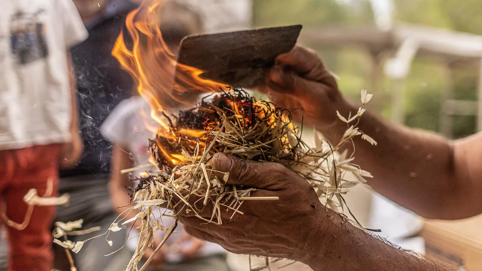 Museum of Préhistory Tautavel