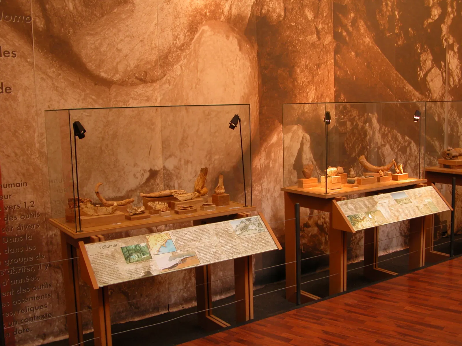 Museum of Préhistory Tautavel