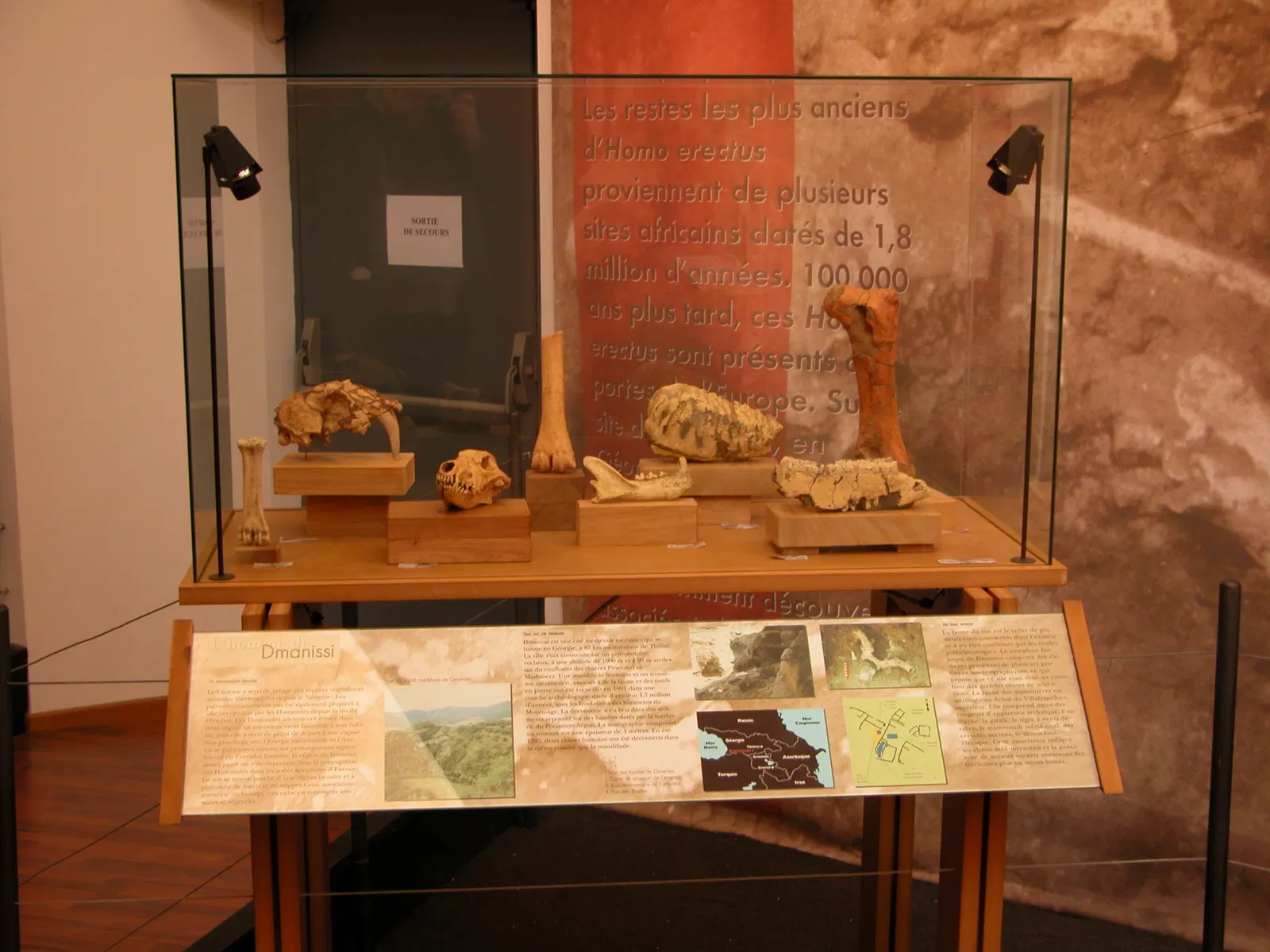 Musée de Préhistoire de Tautavel