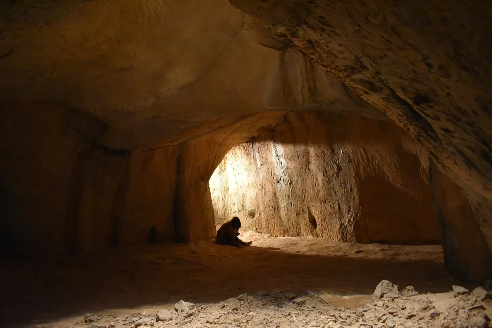 Museum of Préhistory Tautavel