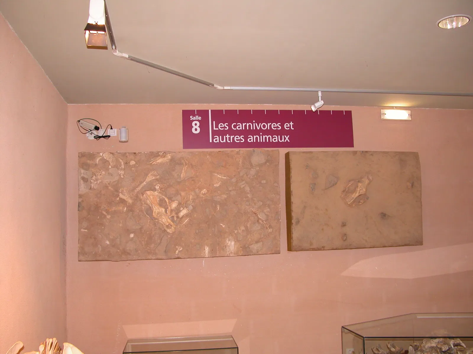 Musée de Préhistoire de Tautavel