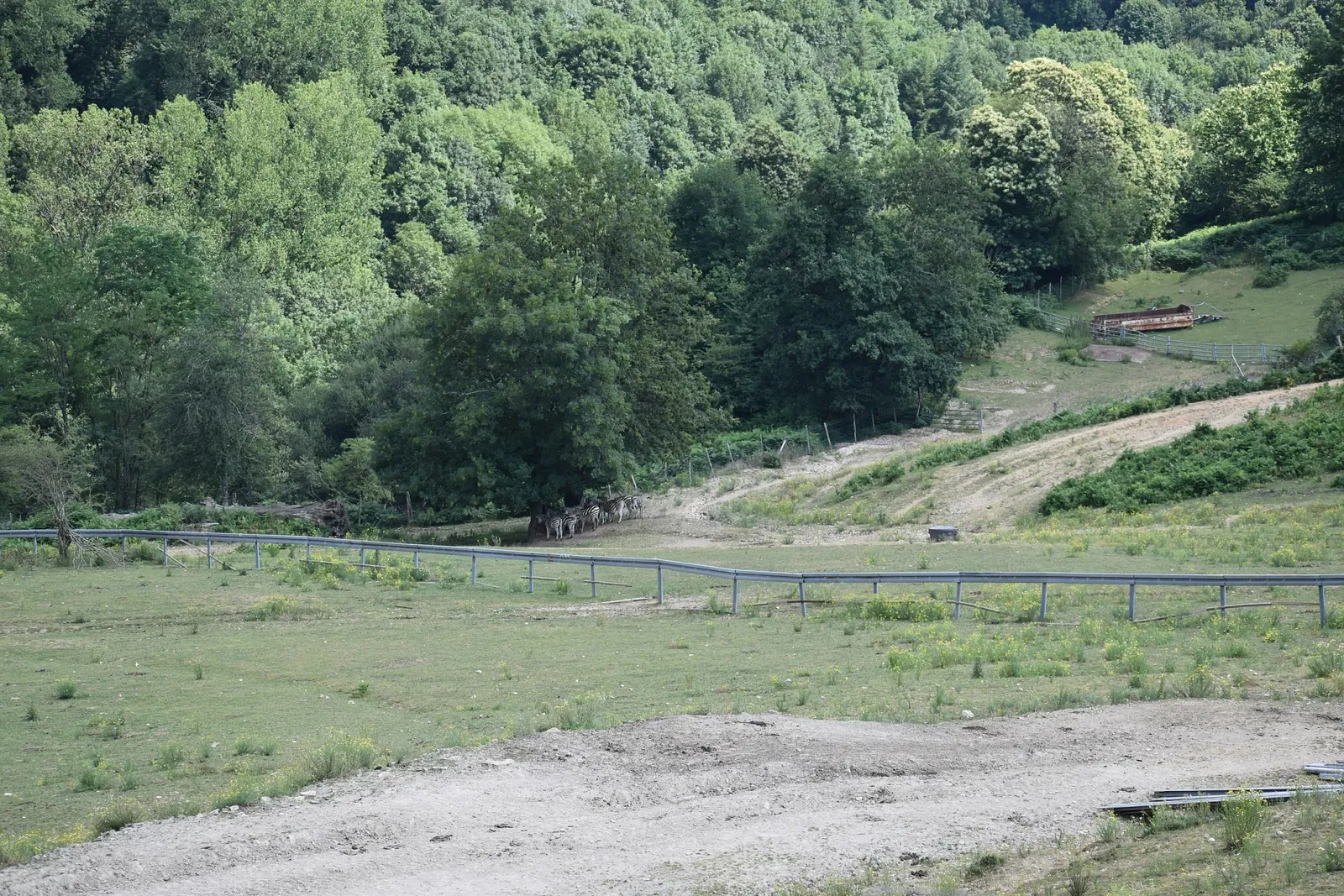 The Three Valleys Zoo