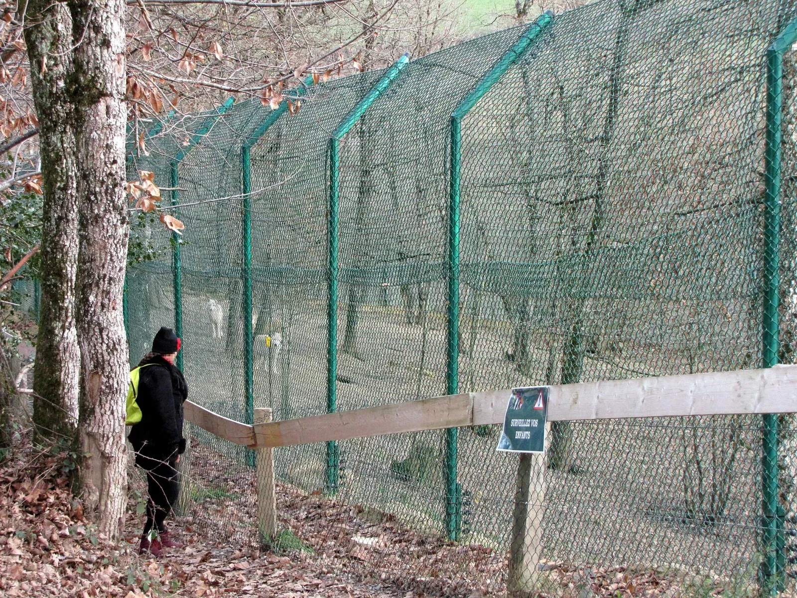 The Three Valleys Zoo