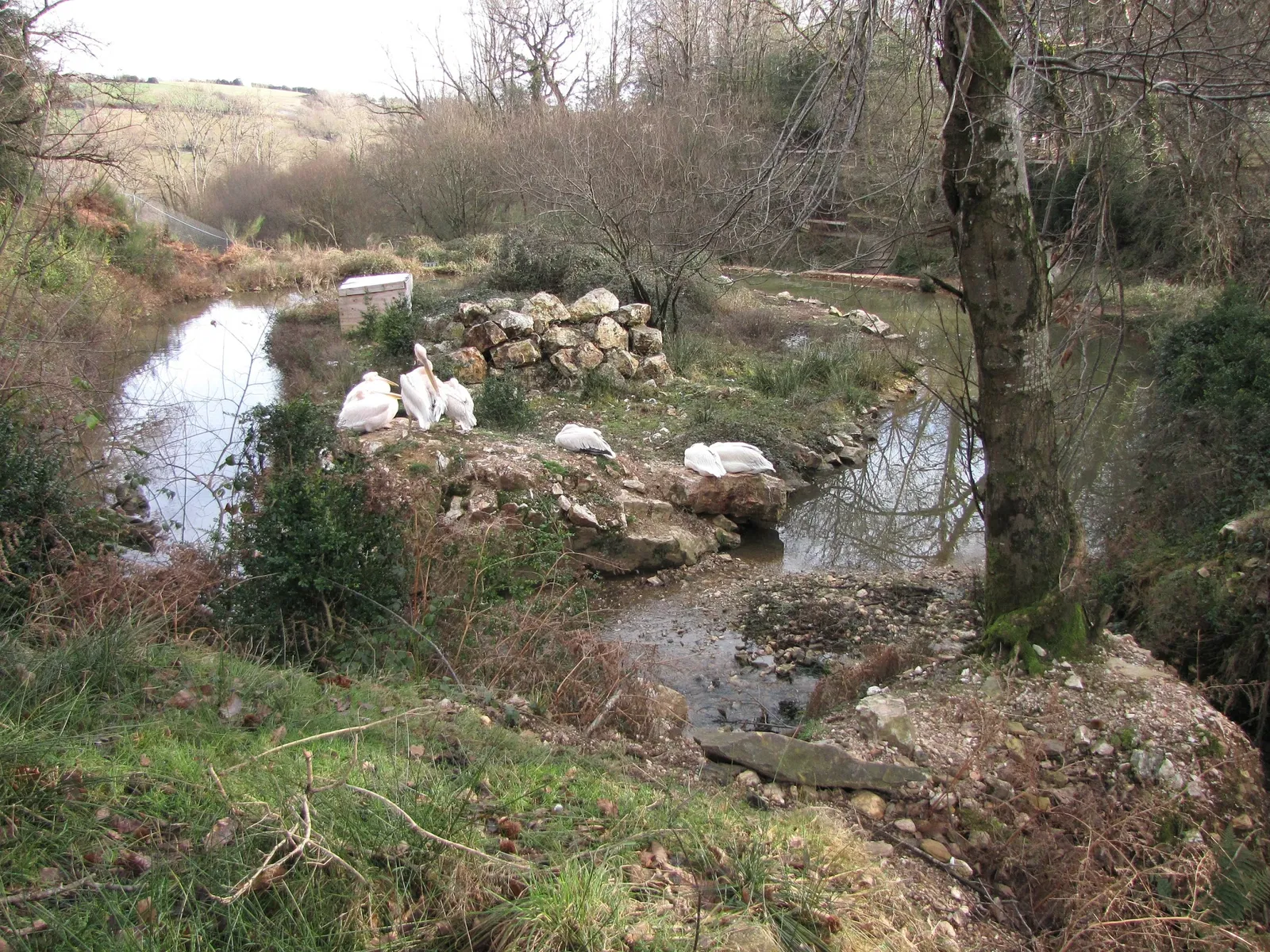 The Three Valleys Zoo