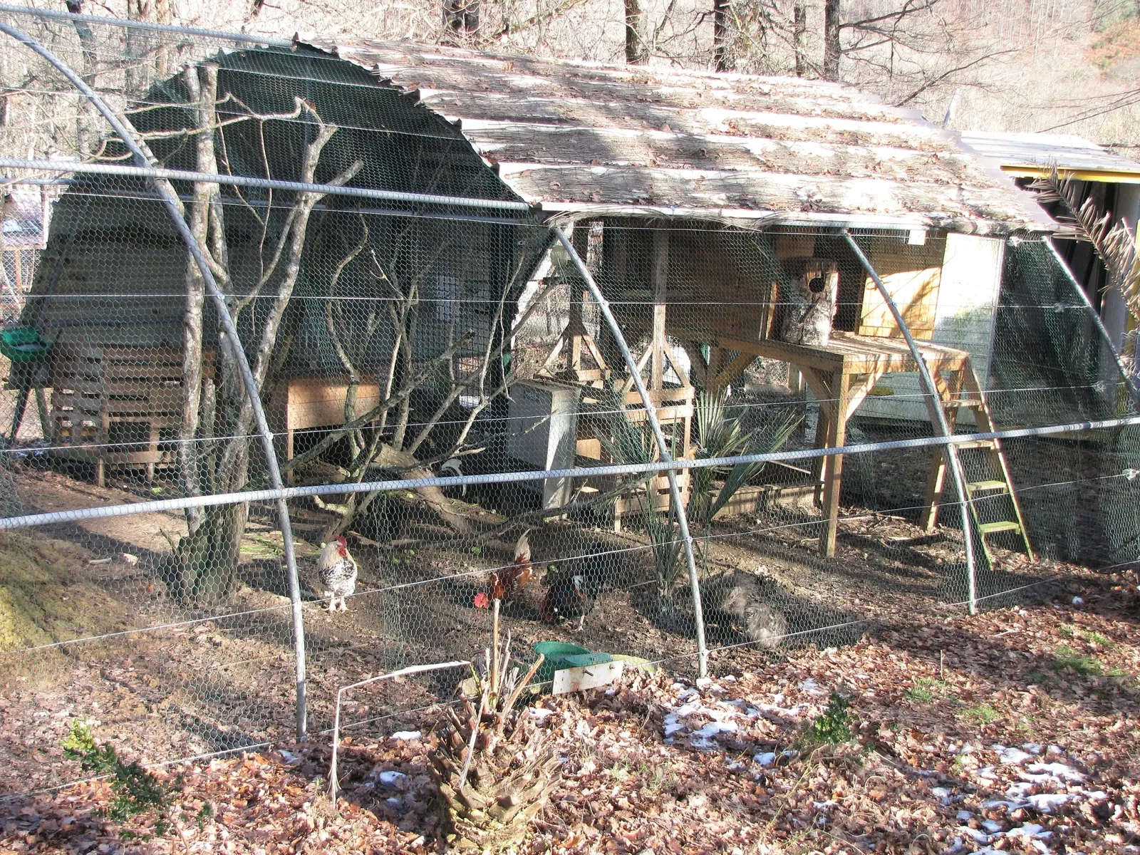 The Three Valleys Zoo