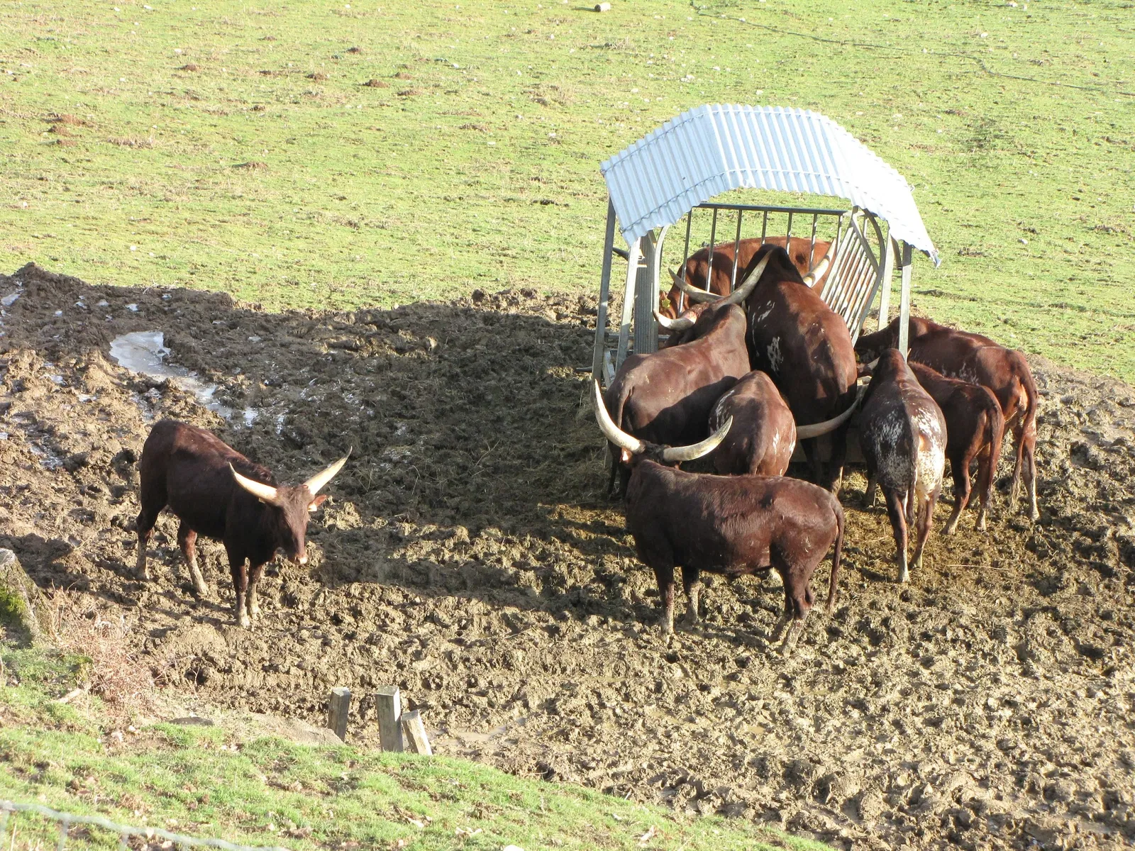 Zoo des 3 Vallées