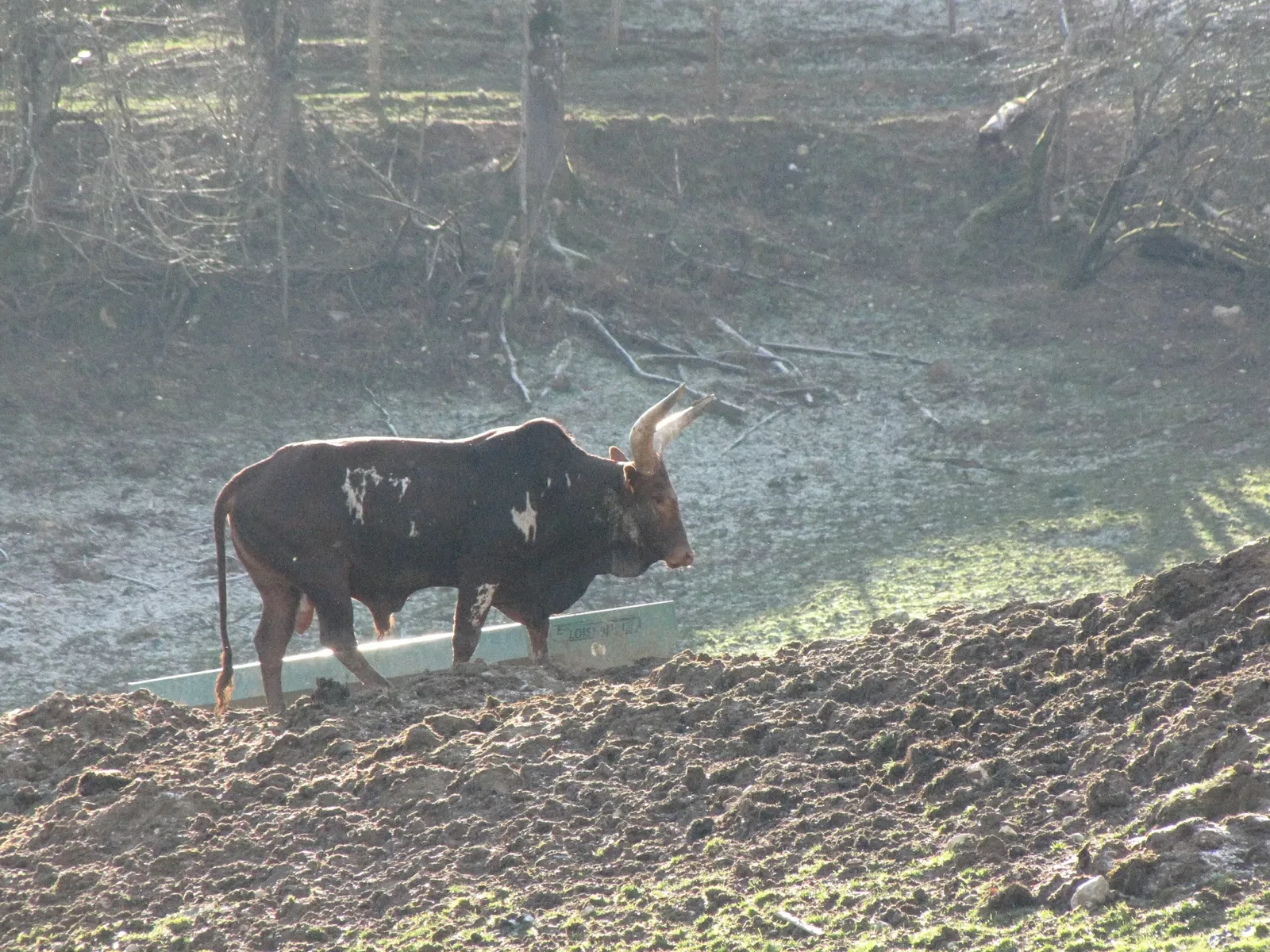 Zoo des 3 Vallées