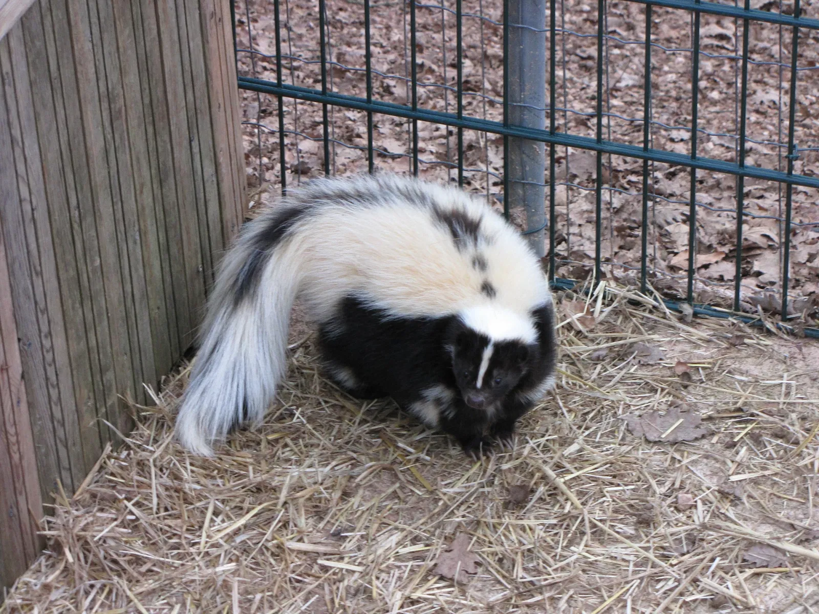 The Three Valleys Zoo