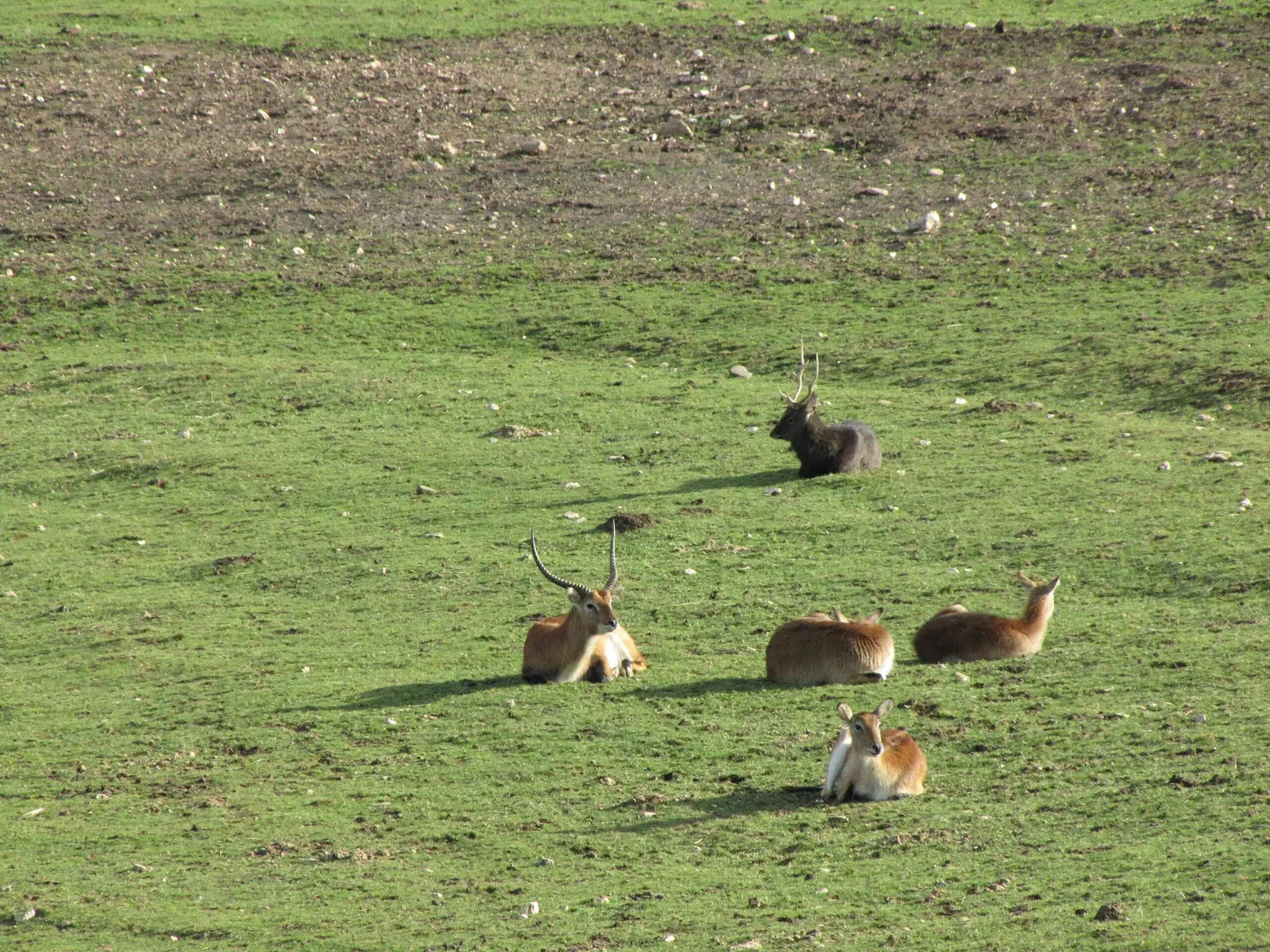 The Three Valleys Zoo