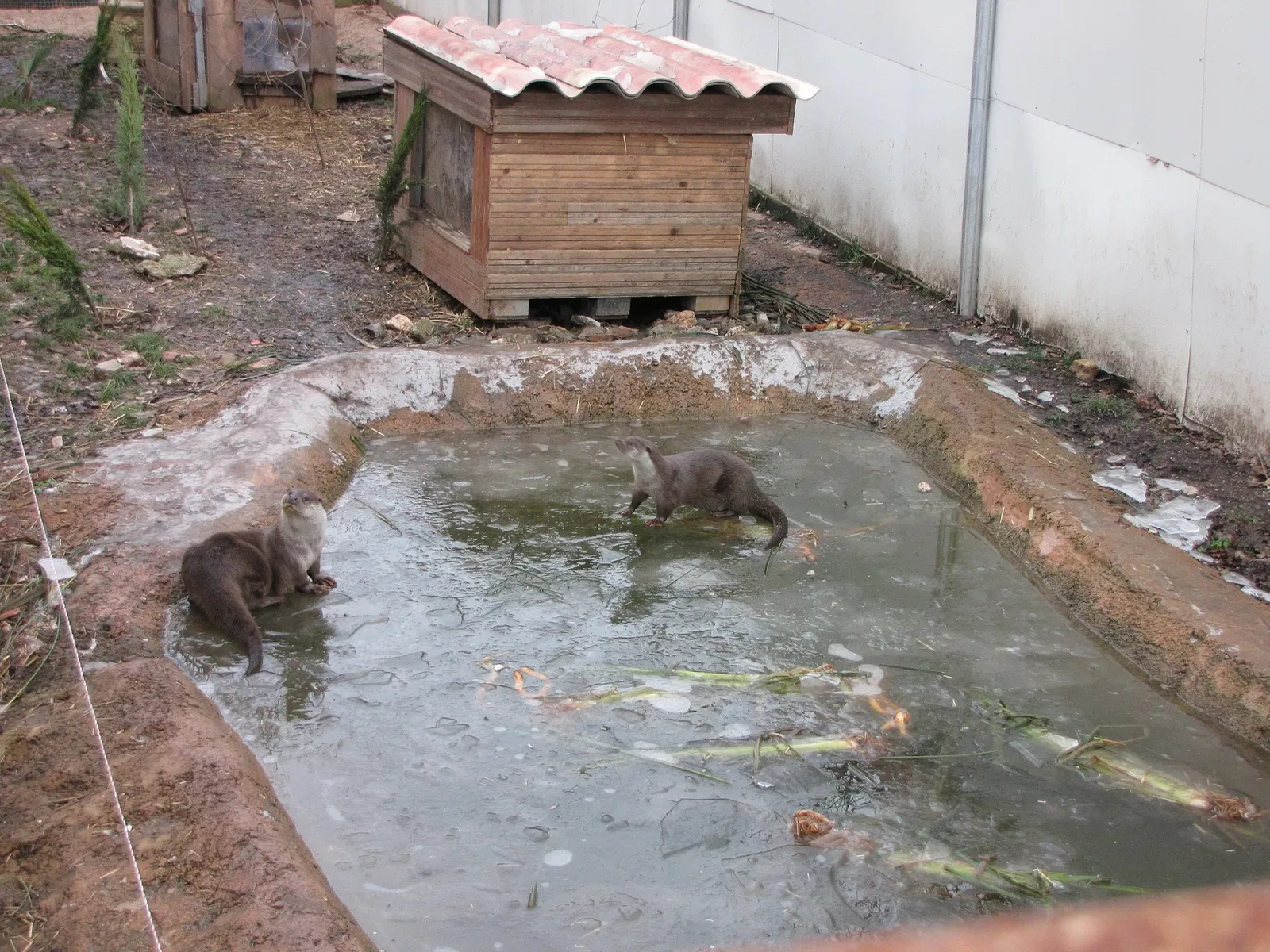 The Three Valleys Zoo