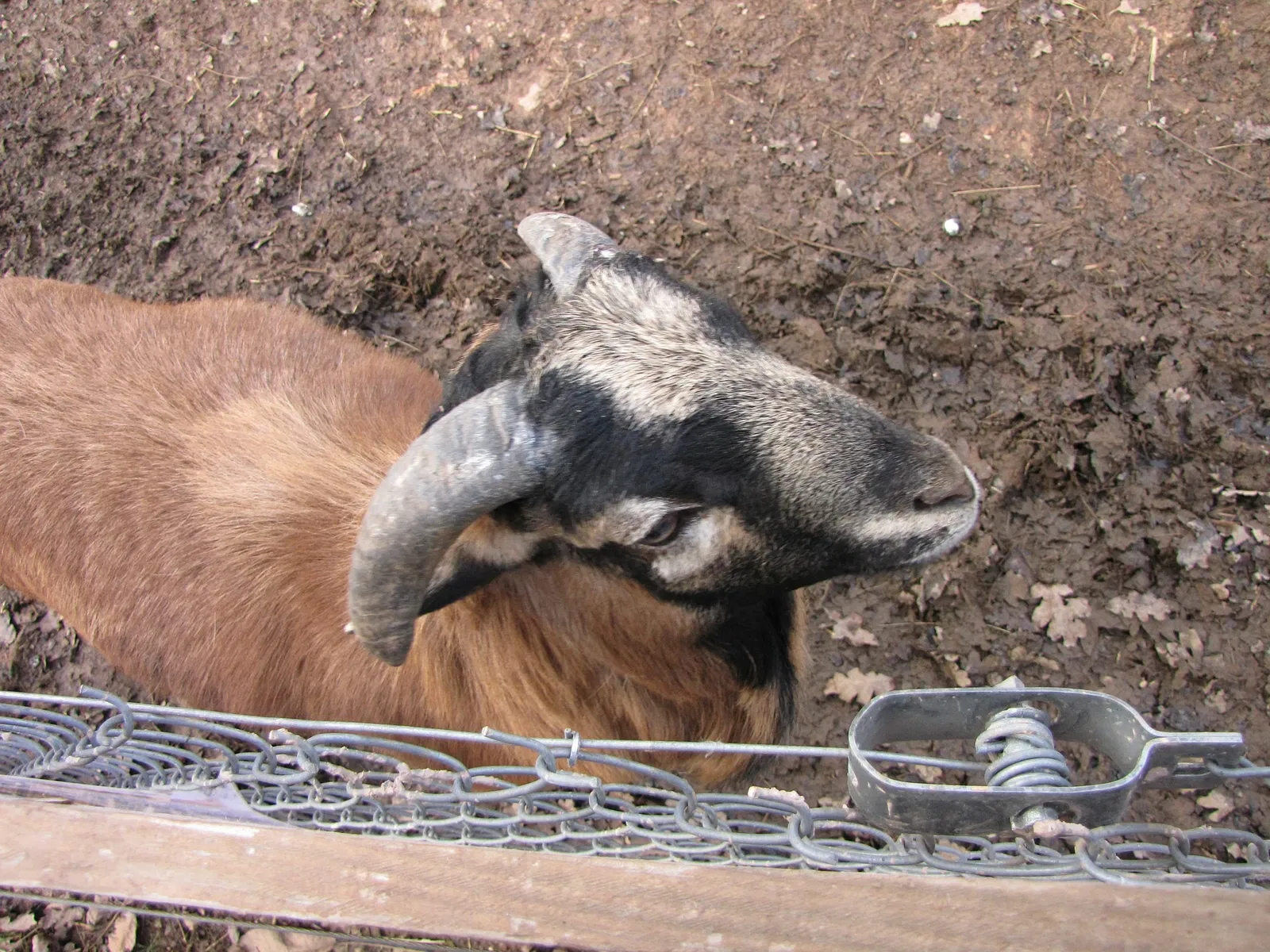 The Three Valleys Zoo