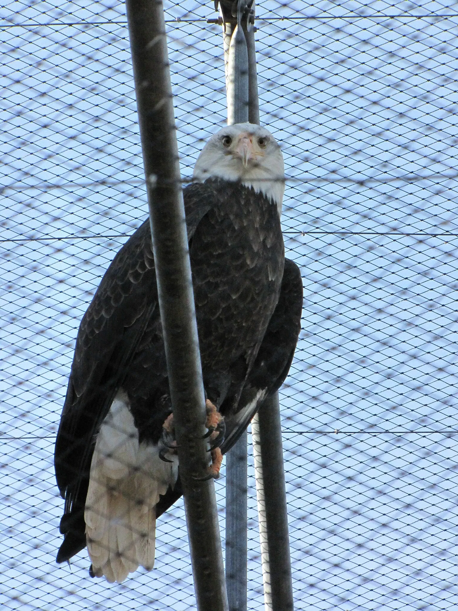 The Three Valleys Zoo