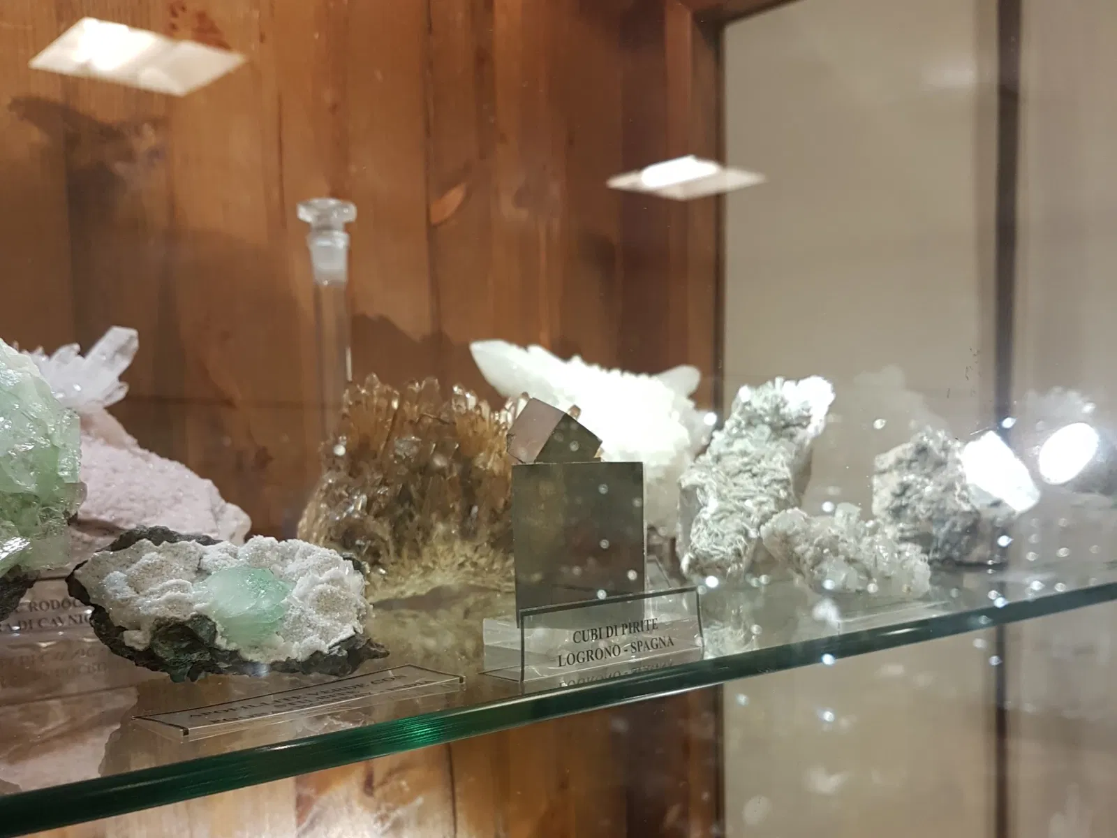 Palazzo Bracci Pagani - Museo di Scienze Naturali