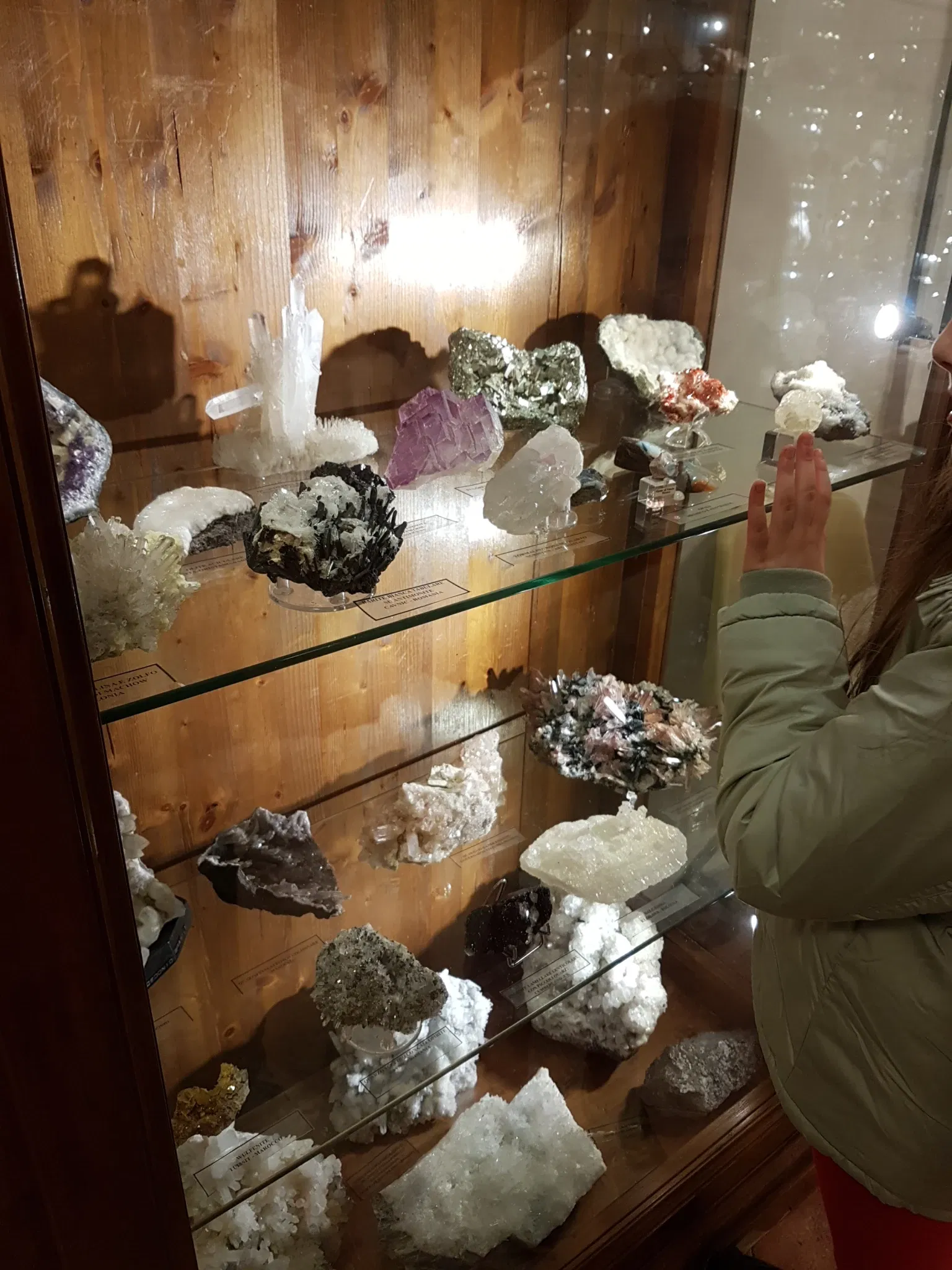 Palazzo Bracci Pagani - Museo di Scienze Naturali