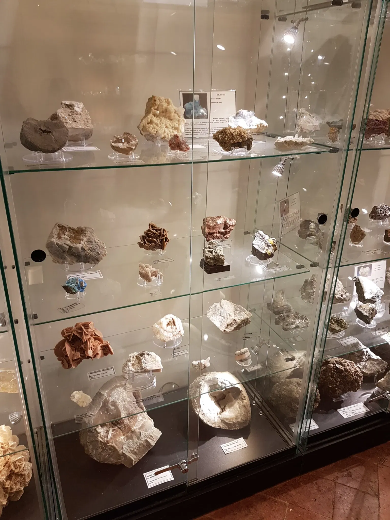 Palazzo Bracci Pagani - Museo di Scienze Naturali