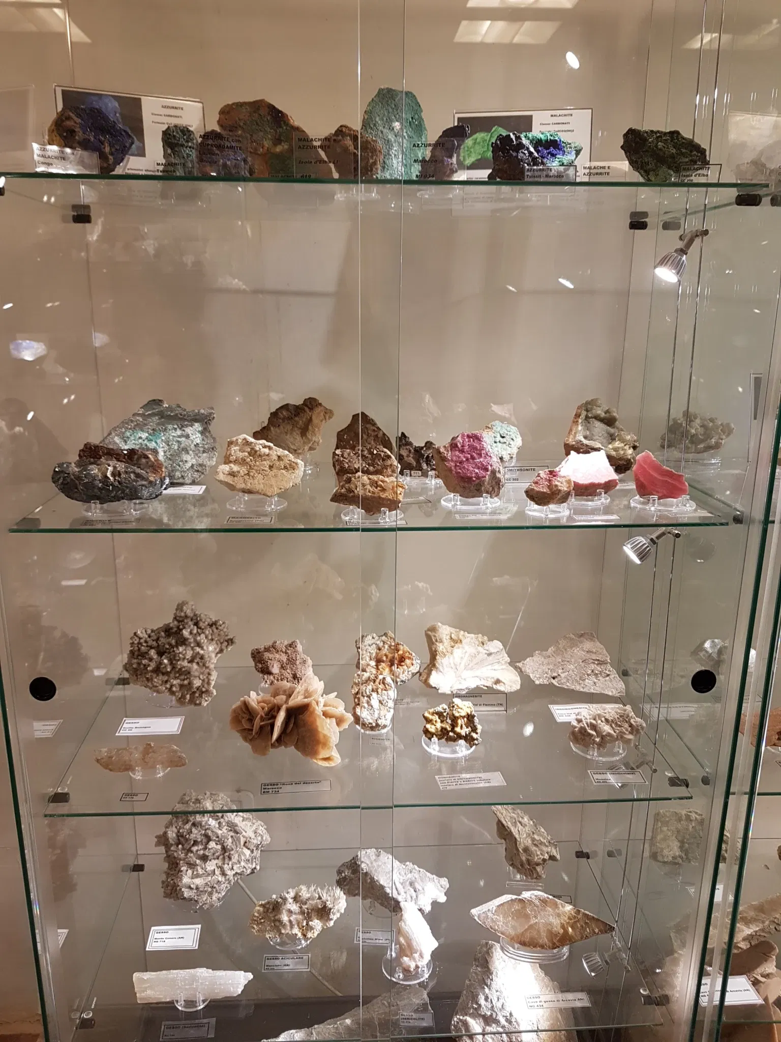 Palazzo Bracci Pagani - Museo di Scienze Naturali