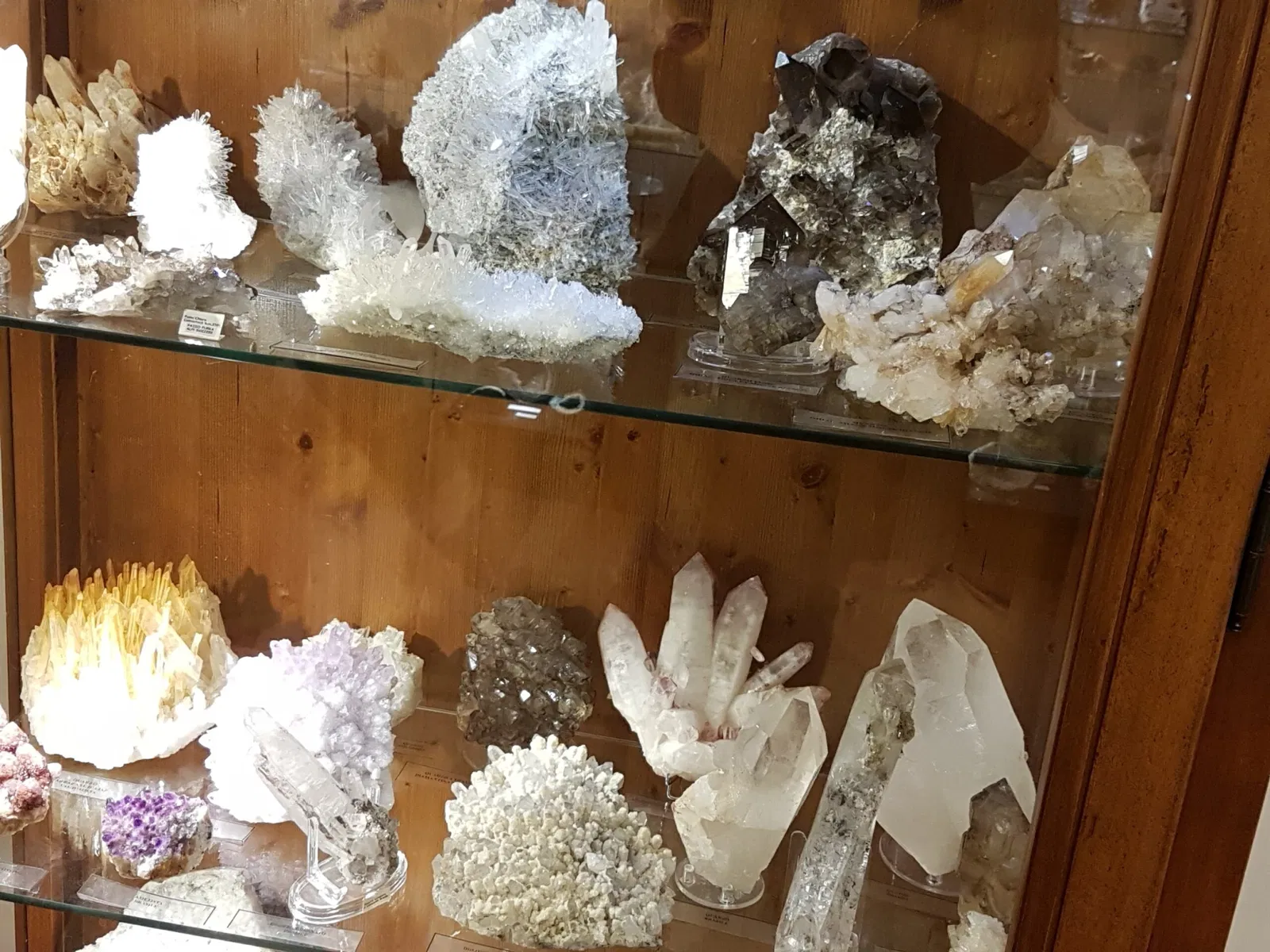 Palazzo Bracci Pagani - Museo di Scienze Naturali