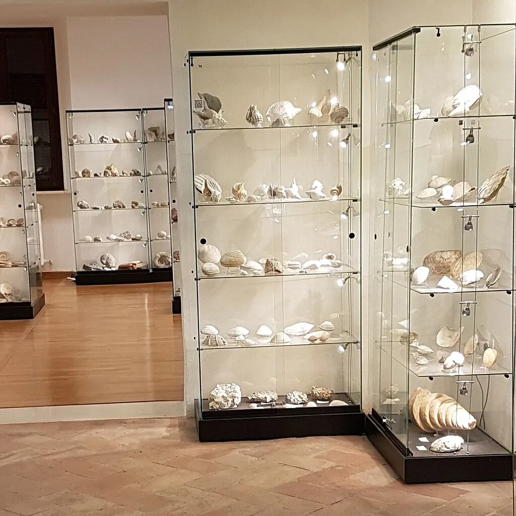 Palazzo Bracci Pagani - Museo di Scienze Naturali