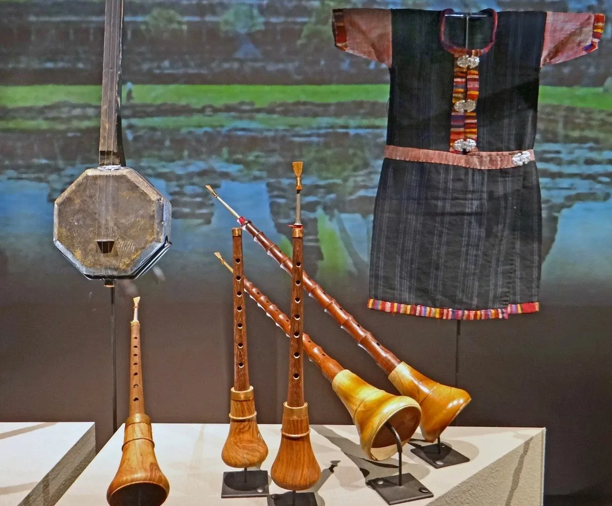 Museo de la Música de Céret